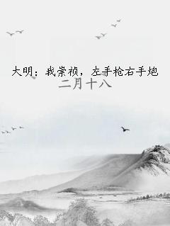 大明：我崇祯，左手枪右手炮