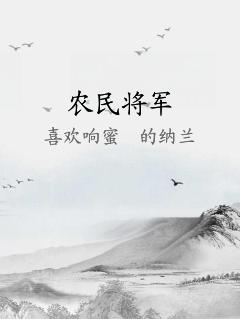 农民将军