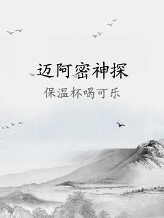 迈阿密神探