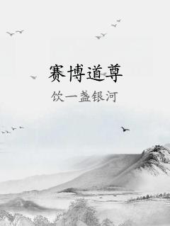 赛博道尊