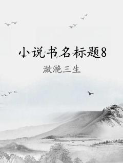 小说书名标题8
