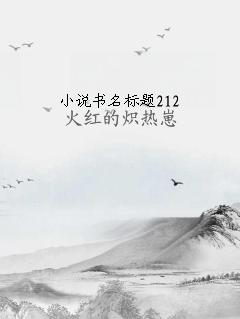 小说书名标题212