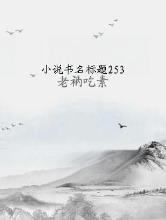 小说书名标题253