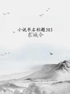 小说书名标题303