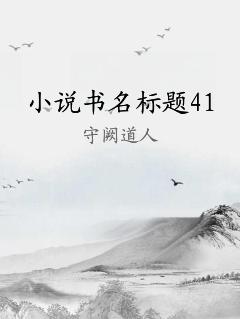 小说书名标题41