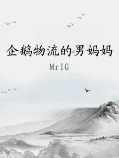 企鹅物流的男妈妈