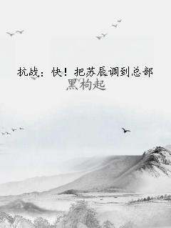 抗战：快！把苏辰调到总部