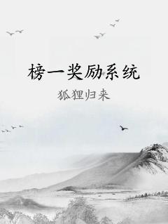 榜一奖励系统