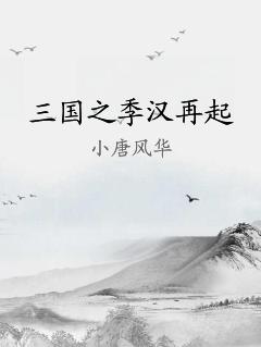 三国之季汉再起 作者：作者：小唐风华
