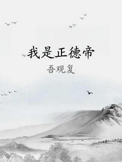 我是正德帝 作者：作者：吾观复