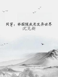 同穿：举国随我开发异世界 作者：作者：沈见新