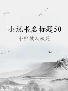 小说书名标题50